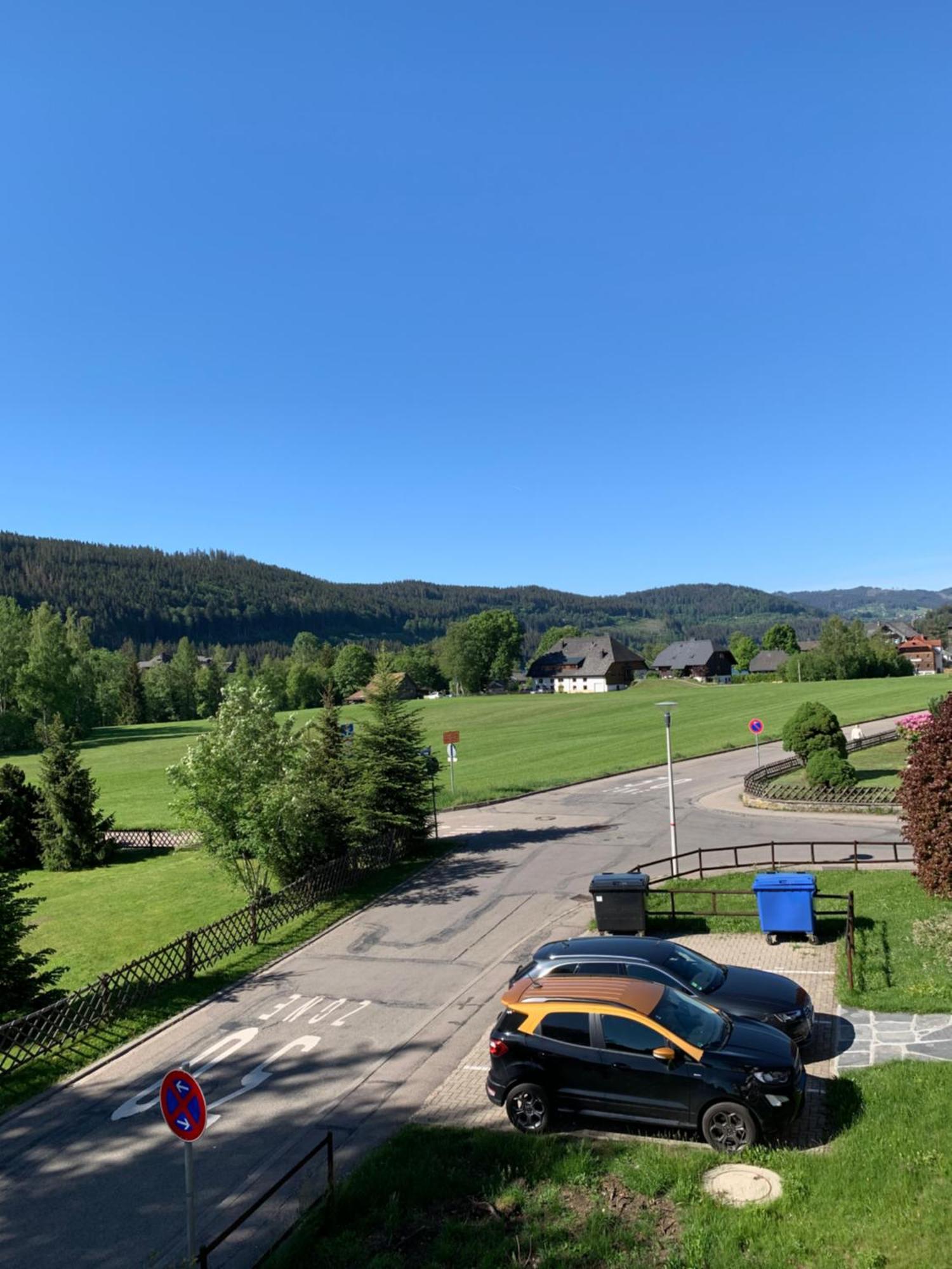 Ferienwohnung Homburger - Titisee Екстериор снимка